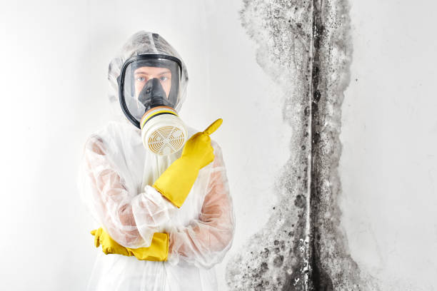 Asbestos and Lead Testing During Mold Inspection in Sheffield, OH